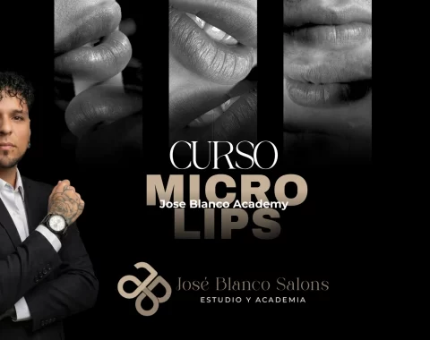 Micro Lips – Curso Introductorio